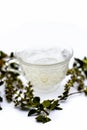 White colored Ice tea in a transparent cup isolated on white with some ice cubes and fresh bright leaves of holy basil.