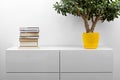 White commode with stack of books and flower pot in bright minimalism interior