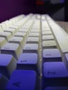 White Computer keyboard in blue light. Royalty Free Stock Photo