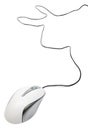 White computer mouse. Royalty Free Stock Photo