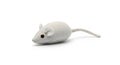 White Computer Mouse on White Background Royalty Free Stock Photo