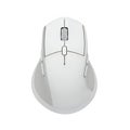 A white computer mouse with a cordless design Royalty Free Stock Photo