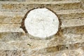 White Concrete Decorative Stone like as Tree Cross Section