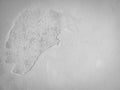 White concrete wall textured blank grunge background Royalty Free Stock Photo