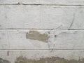 White concrete wall with whitewash. Royalty Free Stock Photo