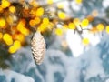 White cone ball hanging from a decorated christmas tree. New year bauble closeup foto with bright bokeh. Winter holiday background Royalty Free Stock Photo