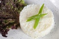 White cooked rice close-up Royalty Free Stock Photo