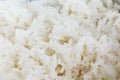 White cooked rice Royalty Free Stock Photo