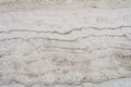 White coquina wall. background, texture. Royalty Free Stock Photo