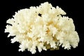 White Coral