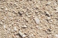 White coral beach background. Coral sand texture on seaside under tropical sun. Royalty Free Stock Photo