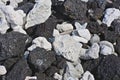 White coral black lava Rock Royalty Free Stock Photo