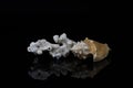 White coral rock isolated on black background Royalty Free Stock Photo