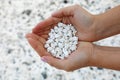 White coral scraps who look like popcorn holds by hands in Playa de Majanicho, Fuerteventura, Spain Royalty Free Stock Photo