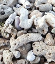 White coral stones arranged on the beach Royalty Free Stock Photo