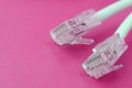 White cord with connector rj45 on a bright pink background. network ethernet plugs Royalty Free Stock Photo
