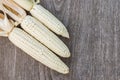 White corn Royalty Free Stock Photo