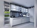 White corner kitchen in contemporary design with modern technological furniture