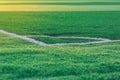 White corner lines on an empty football field during sunset