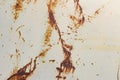 White corroded metal background. Rusty and scratched painted metal wall. Rusty metal background with streaks of rust Royalty Free Stock Photo