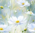 white cosmea flowers, watercolor