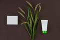 White cosmetic tube with green cap and cardboard box with no logo, flowering spikelets against black studio background