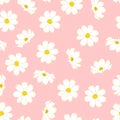 White Cosmos Flower on Pink Background. Vector Illustration