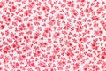 White cotton fabric in red floral patterns. Bright colored background Royalty Free Stock Photo
