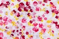 White cotton fabric in red, pink and yellow floral patterns. Bright colored background Royalty Free Stock Photo