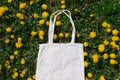 White cotton or mesh bag on dandelion green grass background. Zero waste, no plastic eco friendly shopping, recycling Royalty Free Stock Photo