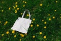 White cotton or mesh bag on dandelion green grass background. Zero waste, no plastic eco friendly shopping, recycling Royalty Free Stock Photo