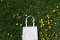 White cotton or mesh bag on dandelion green grass background. Zero waste, no plastic eco friendly shopping, recycling Royalty Free Stock Photo