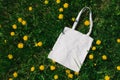 White cotton or mesh bag on dandelion green grass background. Zero waste, no plastic eco friendly shopping, recycling Royalty Free Stock Photo