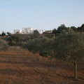 White country house on the island of Ibiza surrounded by nature in the northern part of the island.