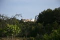 White country house on the island of Ibiza surrounded by nature in the northern part of the island.