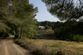 White country house on the island of Ibiza surrounded by nature in the northern part of the island.