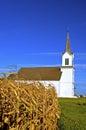 White country white behind corn field Royalty Free Stock Photo