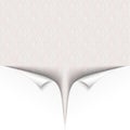 Scrolled White Paper Cover 2 Corners Classic Ornaments