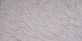 White crack old roughcast facade wall concrete wall background blank in header web panoramic