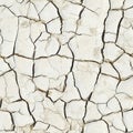 White Cracked Earth Seamless Texture Royalty Free Stock Photo