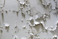 White cracked paint on the wall. Old painted wall. Grungy cracked white wall paint peeling off. Surface paint on the walls are