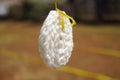 A white cracker hanging on a yellow raffia rope with defocused background. Royalty Free Stock Photo