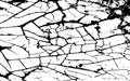 White cracking texture. Grunge horizontal background. Pattern with cracks. Vector