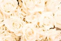 White cream-colored ivory artificial floral background for different design