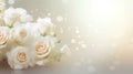 White and cream roses on a blurry delicate background. Romantic background. Royalty Free Stock Photo