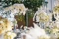 The white cream roses, orchids decoration on the reception dinner table, flowers, Floral - closed up Royalty Free Stock Photo