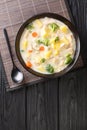 White Cream Stew is a classic Japanese style stew made with chicken, mushrooms, and vegetables close-up in a bowl. Vertical top Royalty Free Stock Photo