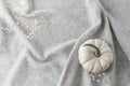 White creme pumpkin and dried flowers on light grey luxury pure cashmere cloth Royalty Free Stock Photo