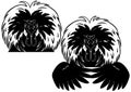 White crested black Polish rooster chicken head and wings line art