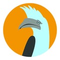 White - crested hornbill bird vector illustration flat style